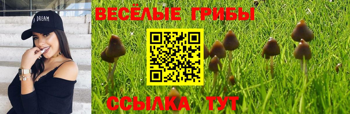 Псилоцибиновые грибы GOLDEN TEACHER Сарапул